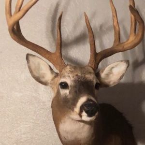 Meet your Posher, Kyker